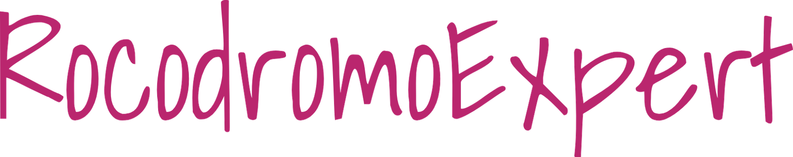 rocodromoexpert.com